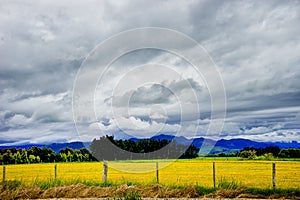 New Zealand landscape on cloudy day on the road from Queenstown to Te Anau