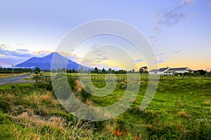 New Zealand landscape with farmland and grazing cows on background volcano Taranaki
