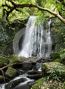 New zealand, matai falls
