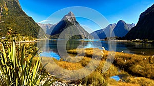 New Zealand Milford Sound