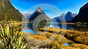 New Zealand Milford Sound photo