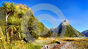 New Zealand, Milford Sound, Scenic Mountains Landscape