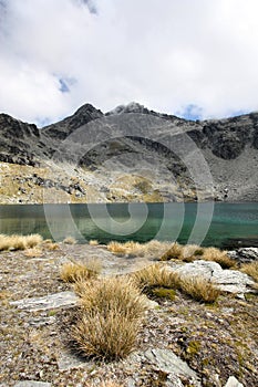 New Zealand mountains