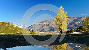 New Zealand Mountains, Mt. Aspiring National Park