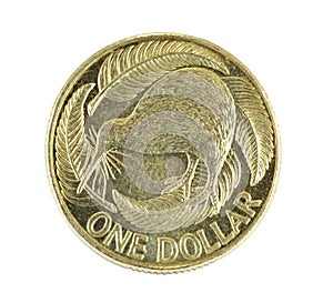 New Zealand One Dollar Coin Isolated on White