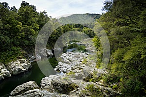 New Zealand Pelorus river