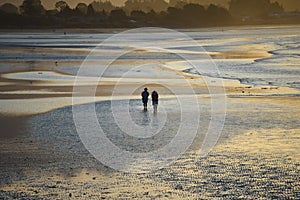 New Zealand- Pohara Beach Sunset- Silhouette of a Couple