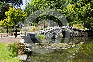 New zealand, queenstown gardens photo