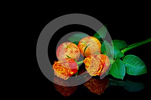 New zealand red apples and caribbean orange roses reflections on dark background