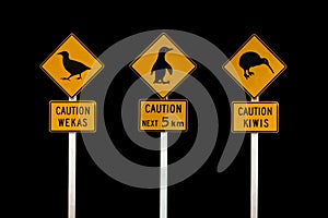 New Zealand road signs on black background. Caution kiwis caution wekas, caution penguins