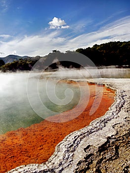 New Zealand, Rotorua, Thermal Wonderland