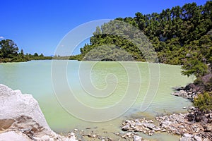 New Zealand, Rotorua, Wai-O-Tapu Thermal Wonderland, Lake Ngakoro