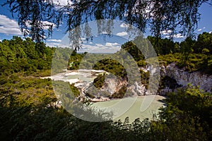 Wai-O-Tapu Thermal Wonderland, Lake Ngakoro