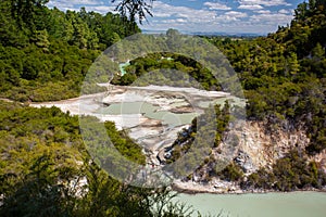 Wai-O-Tapu Thermal Wonderland, Lake Ngakoro