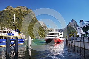 New Zealand, Scenic Fjord Landscape, Milford Sound Cruise