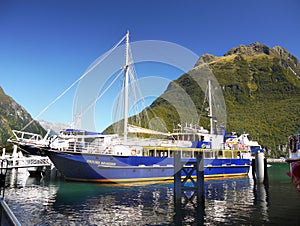 New Zealand, Scenic Fjord Landscape, Milford Sound Cruise