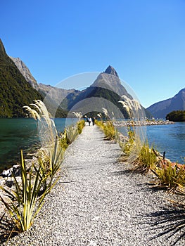 New Zealand, Scenic Fjord Landscape, Milford Sound