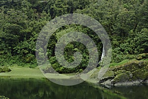 New Zealand, small waterfall into Buller River