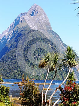 New Zealand Southern Alps Mountains