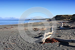New Zealand Southland beach photo