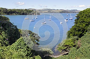 New Zealand Travel Photos - Bay of Islands photo