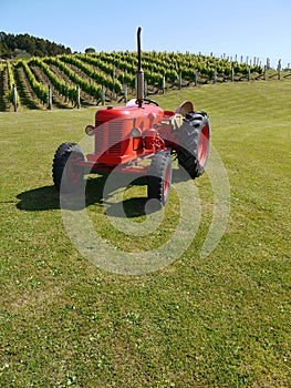 New Zealand: vineyard with red tractor v