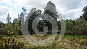 New Zealand wetlands and swampland