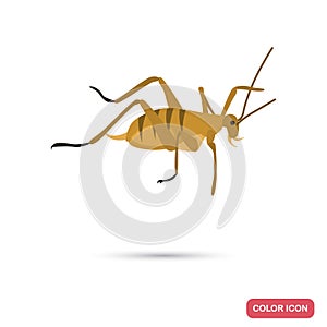 New Zeland grasshopper color flat icon for web and mobile design