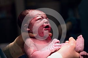 Newborn photo