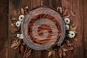 Newborn autumn background - wooden bowl with fall leaves and cream pumpkins on dark wooden planks backdrop