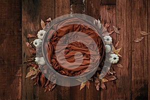 Newborn autumn background - wooden bowl with fall leaves and cream pumpkins on dark wooden planks backdrop