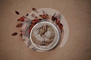 Newborn autumn photography backdrop - white bowl on neutral beige and brown background with fall leaves and yellow center layer