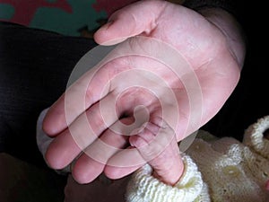 Tiny Fingers Holding Hand photo