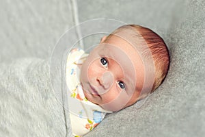 Newborn baby is 9 days old lies wrapped over a gray background.