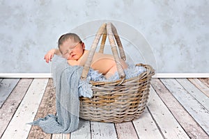 Newborn baby in basket