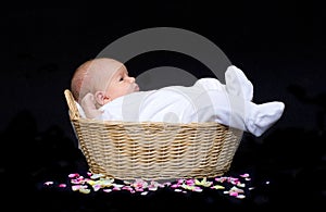 Newborn baby in a basket with flower petals