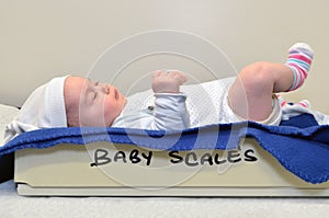 Newborn baby been examined on the balance