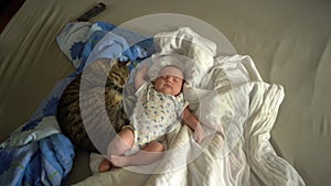 Newborn baby with big cat sleeping on the bed