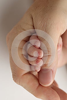A newborn baby after birth holds tightly, squeezed the thumb of its parents.