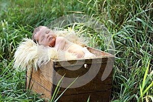 Newborn baby in a box