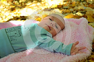 Newborn baby boy in autumn photoshoot