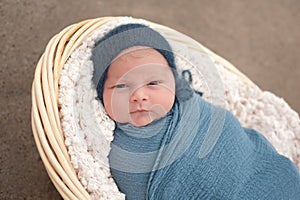 Newborn Baby Boy in a Basket