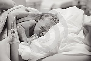 Newborn baby boy after birth