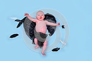 A newborn baby boy with black evil wings on a blue studio background, copy space. An infant caucasian child in a diaper aged one