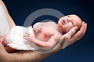 Newborn baby boy on the father's hand