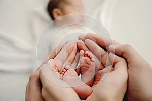 Newborn baby boy and parents portrait