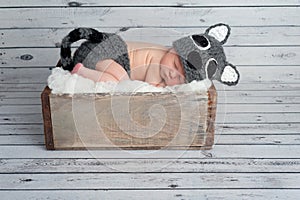 Newborn Baby Boy in a Raccoon Costume