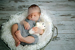 Newborn baby boy, sleeping peacefully in basket, dressed in knit