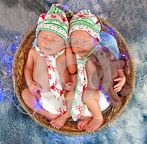 Newborn baby boys sleeping in a basket