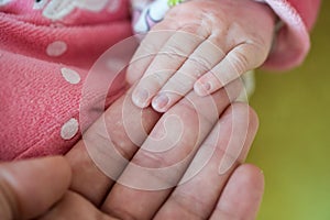 Newborn baby, closeup of fingers of fingers on hand of mother